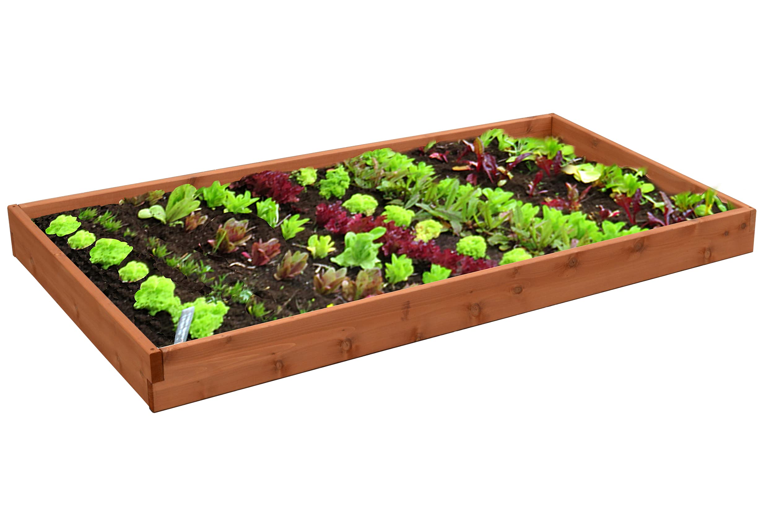 Premium Red Cedar Wood Raised Garden Bed - 5.5