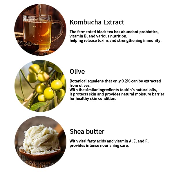 Dr. Ceuracle Vegan Kombucha Tea Lip Balm 3.7g - Cruelty Free Hydrating & Nourishing Lip Care for Dry, Cracked, Chapped Lips - Infused with Shea Butter & Botanical Squalene from Olives - Not Tested on Animals - Perfect for Daily Lip Moisturizing, Winter Care & On-The-Go Lip Protection