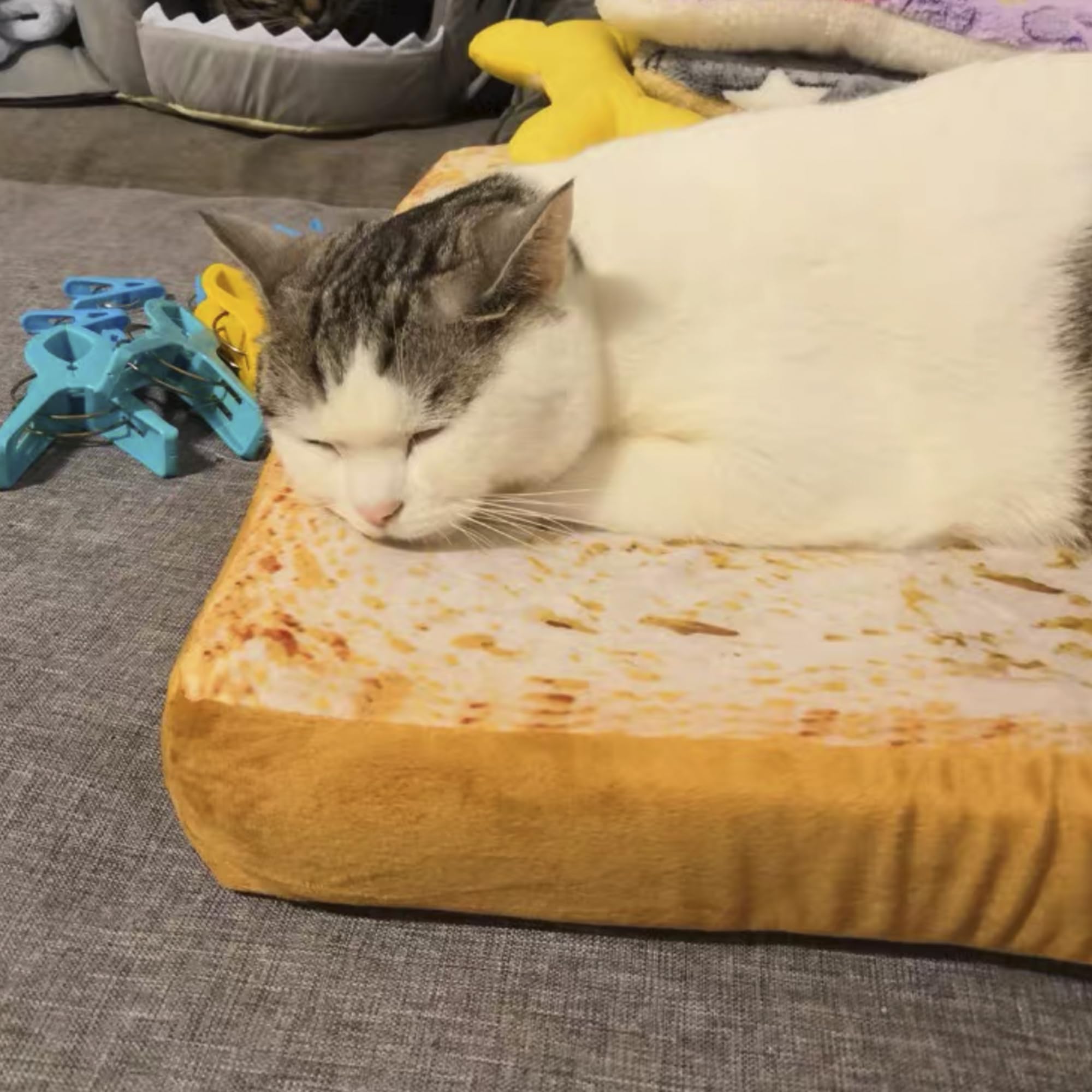 Gefryco Cat Beds for Indoor Cats - Soft Pet Mats & Cushion for Cats & Small Dogs - Creative Toast Bread Slice Mattress with Sponge Core - Perfect for Living Room, Bedroom & Pet Napping Areas