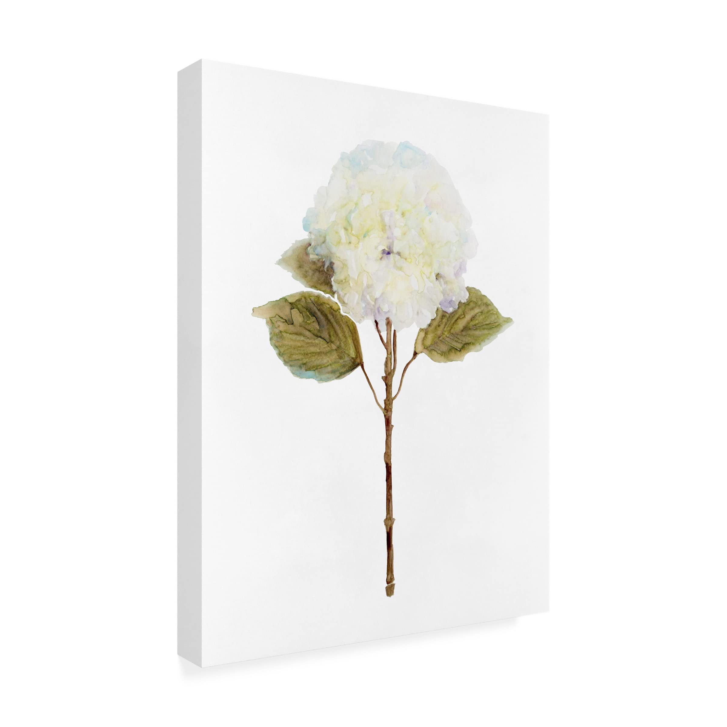 Stellar Design Studio 'White Blossom III' Floral Canvas Wall Art - Premium Hand-Painted Home Decor for Living Room, Bedroom & Office