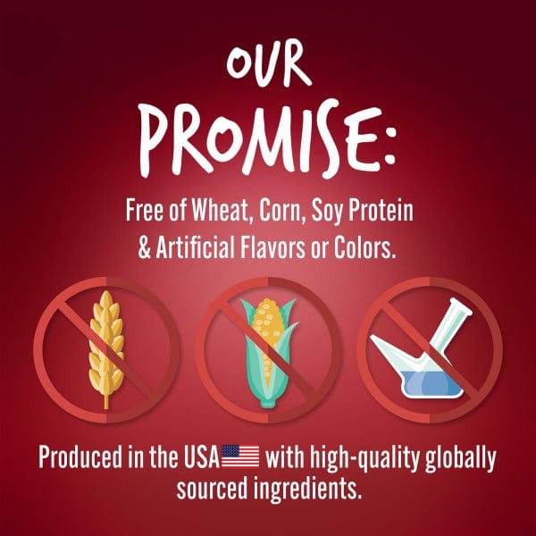 Fruitables Skinny Minis Apple Bacon Flavor Dog Treats - Low Calorie Natural Dog Snacks for Small & Medium Breeds - Perfect for Training Rewards & On-the-Go Treats