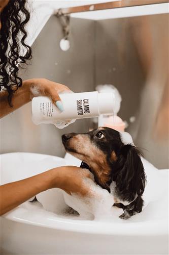Best Calming Shampoo for Sensitive Scalp - Soothing & Gentle Hair Care for Dry, Itchy Scalp - Perfect for Daily Use & Relaxing Bath Time