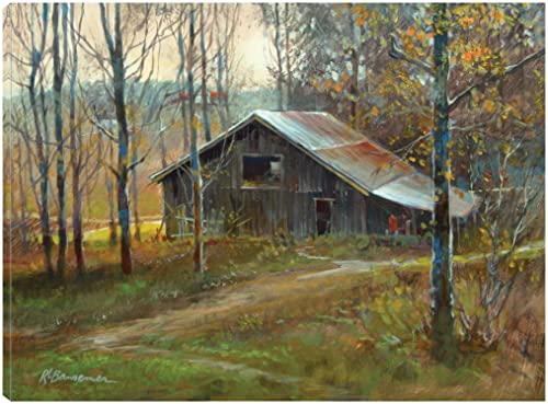 Pinnacle Mountain Barn