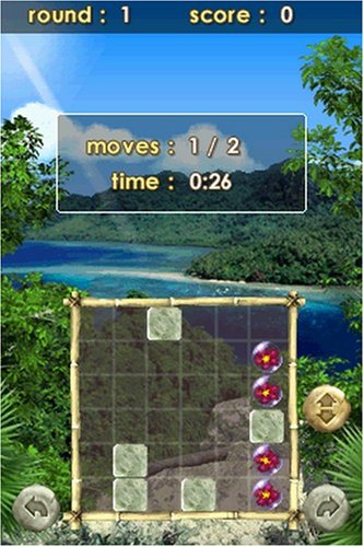 Zenses: Rainforest Edition - Nintendo DS Game | Relaxing Puzzle & Nature Sounds for Stress Relief | Perfect for Travel & Home Entertainment
