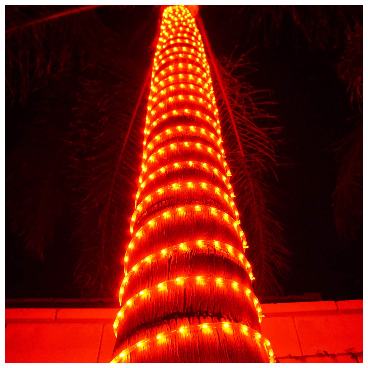 Russell Decor 100ft/30m LED Rope Lights Kit - Waterproof Flexible String Tube Lights for Indoor & Outdoor Use - Perfect for Party, Wedding, Tree, Backyard, Patio, Deck Decorations - Bright Red Decorative Lighting (Ideal for Holiday, Landscape, and Event Lighting)