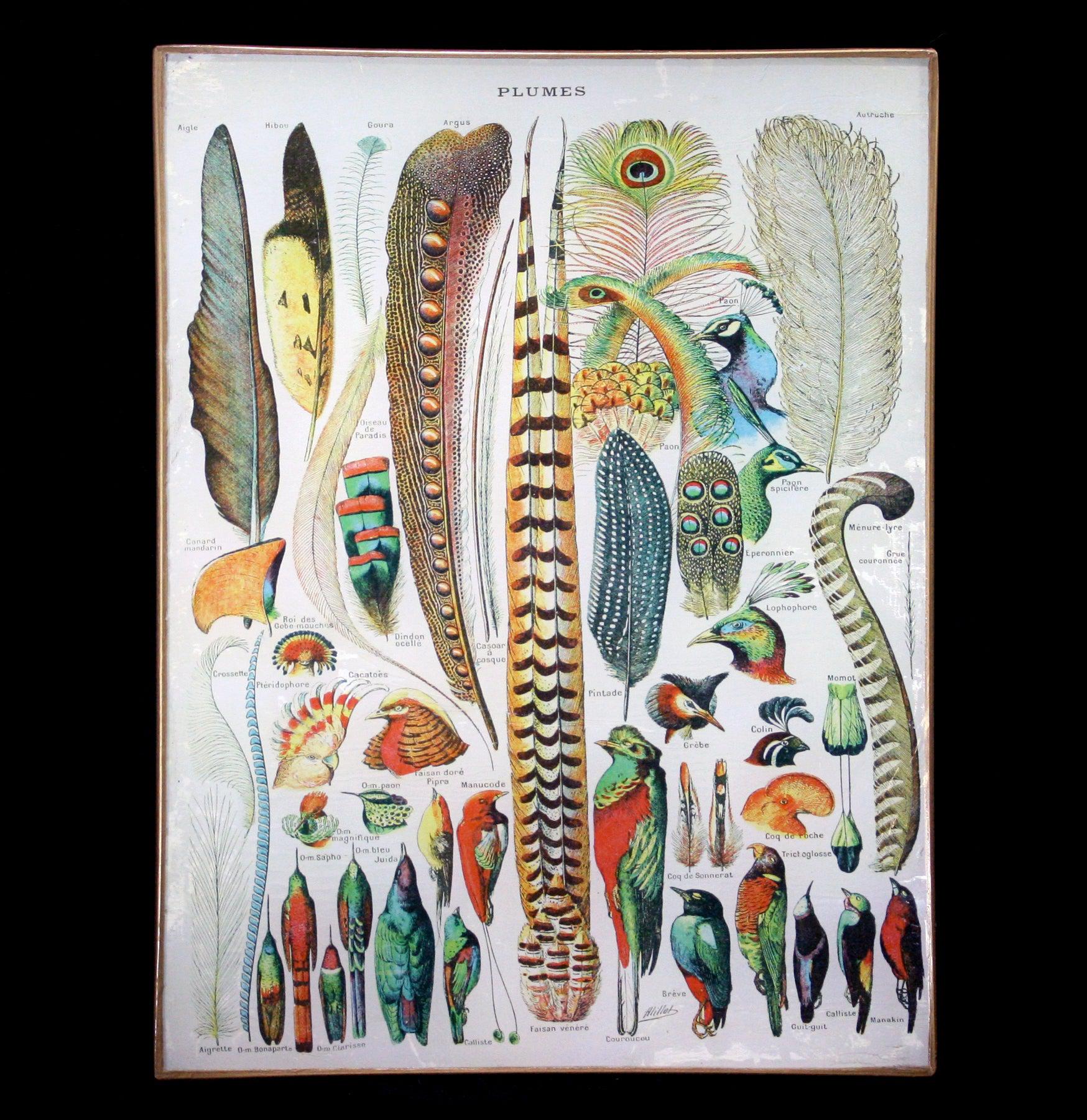 Decoupage Glass Feather Tray - Handmade Vintage Serving Tray for Home Decor, Wedding, and Party - Perfect for Displaying Jewelry, Candles, and Desserts