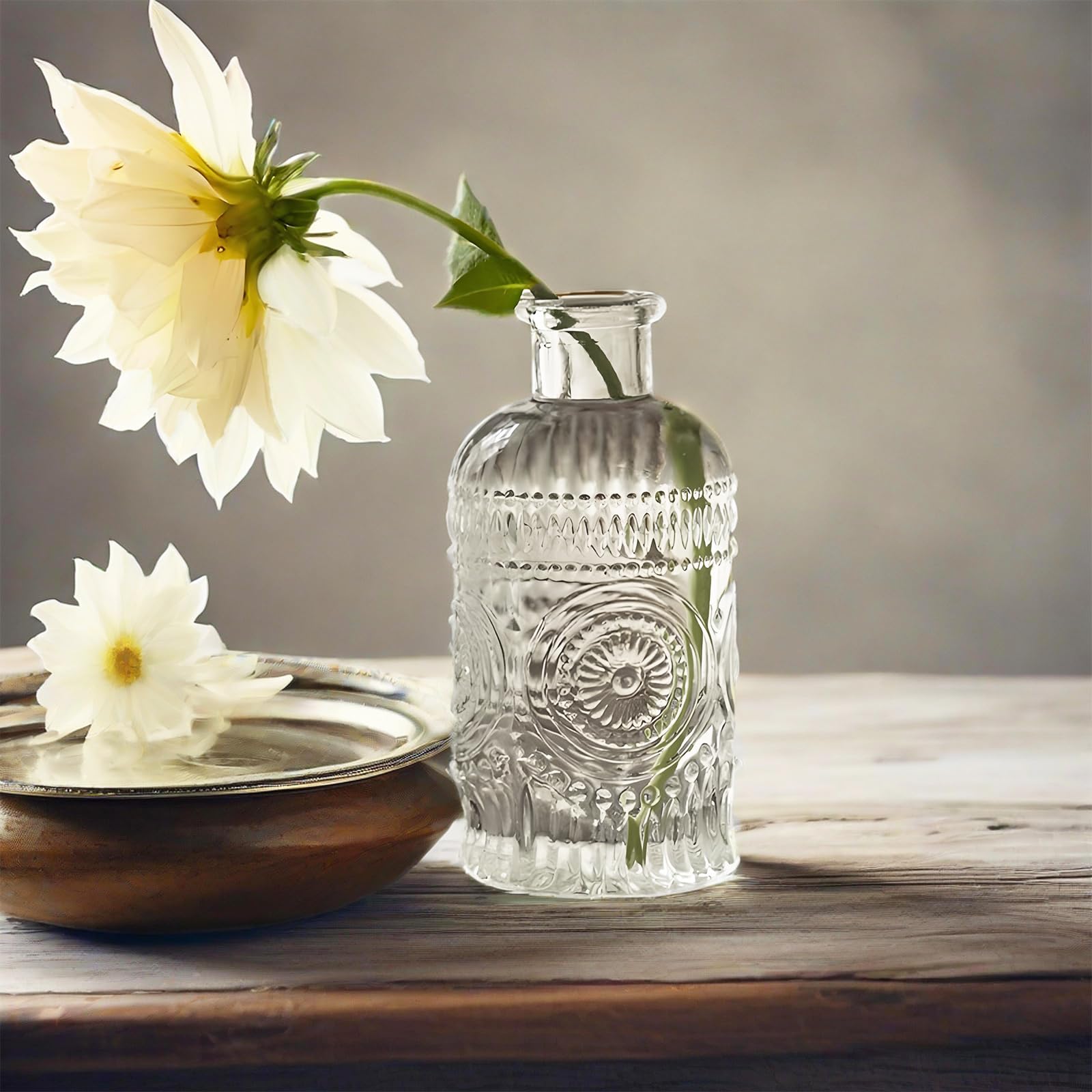 Glass Propagation Vases for Plants & Flowers - Home & Office Decor