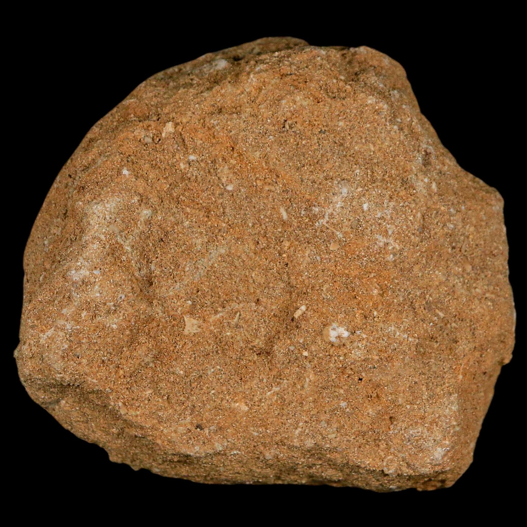 1.6