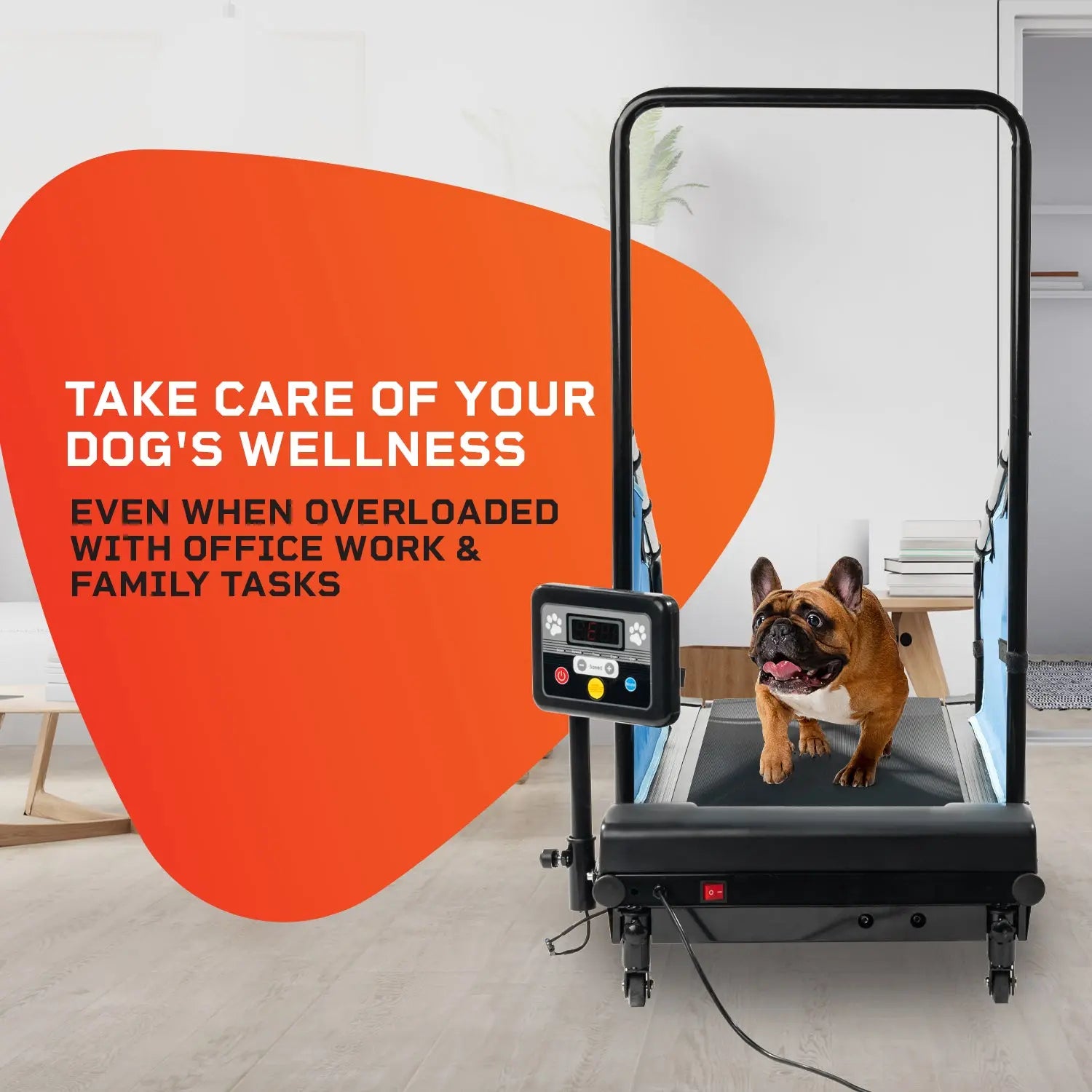 PawRunner Pet Treadmill for Dogs & Cats - Electric Exercise Machine for Indoor Pets - Perfect for Small to Medium Pets, Weight Loss & Training - Home Gym Equipment for Active Pets