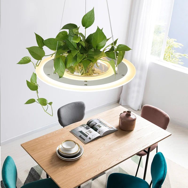 Elegant Ring Plant Pendant with Lustre Planet Light - Boho Home Decor for Bedroom, Living Room & Garden