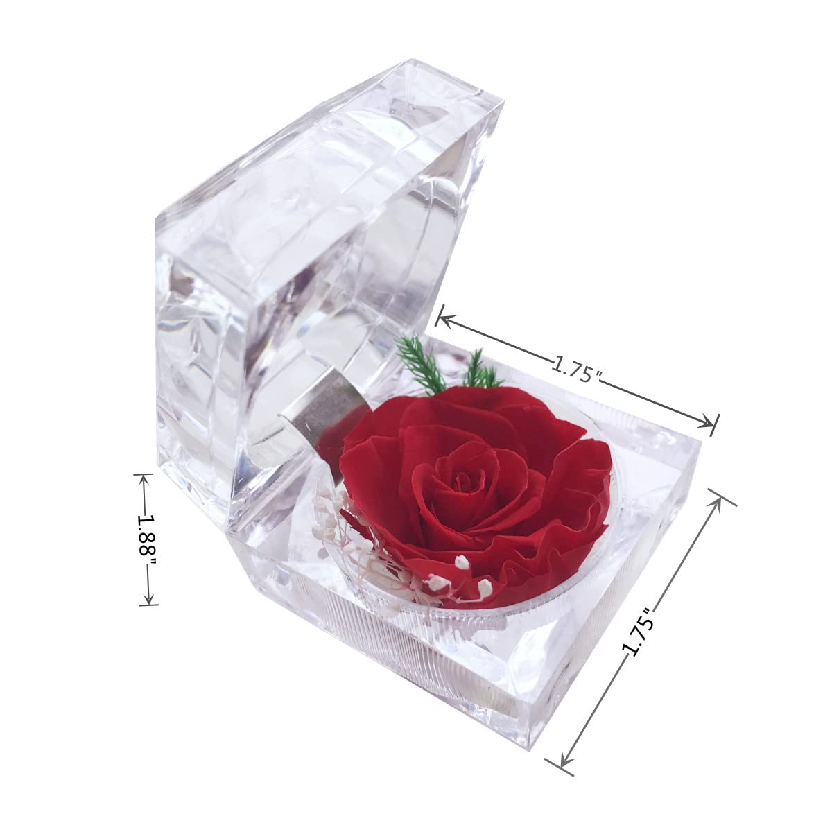Real Preserved Rose in Mini Clear Ring Box - Eternal Flower Gift for Women, Mom, Girlfriend, Grandma - Perfect for Mother's Day, Anniversary, Valentine's, Christmas & Birthday (Red) - Romantic Home Decor & Thoughtful Present for Special Occasions