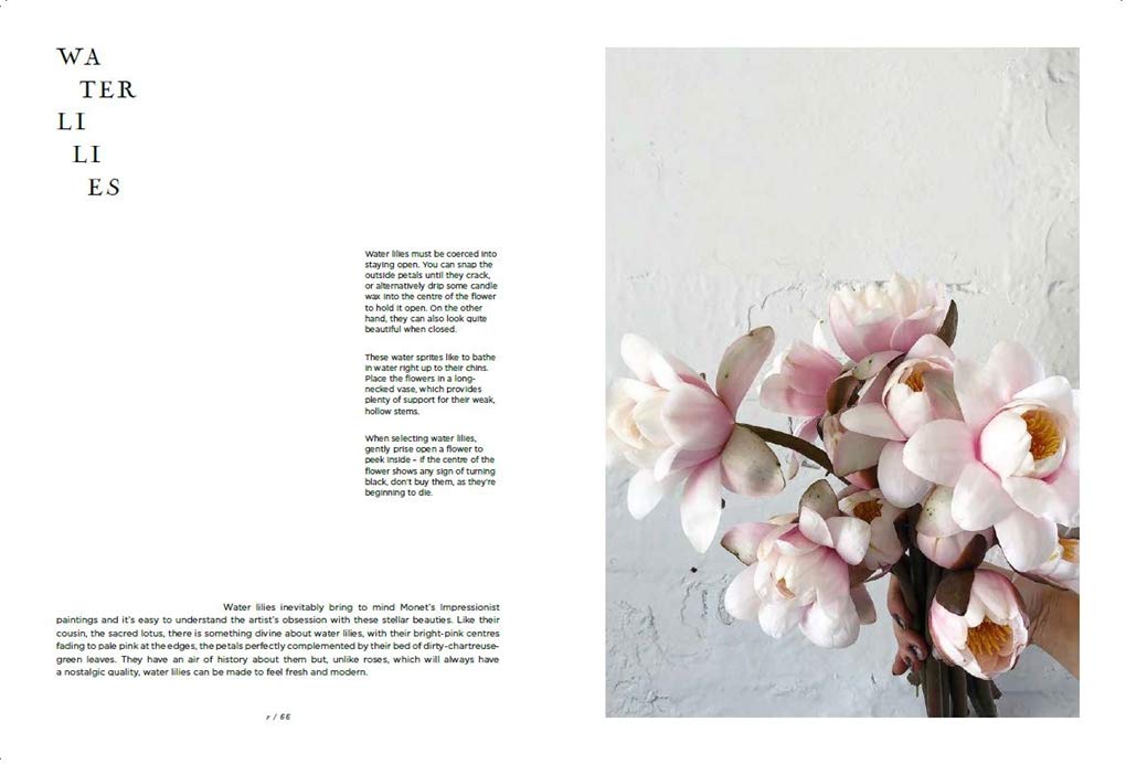 The Flower Expert | Premium Floral Arrangements & Bouquets for Weddings, Anniversaries & Special Occasions