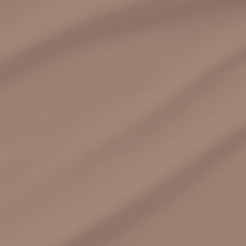 Mocha