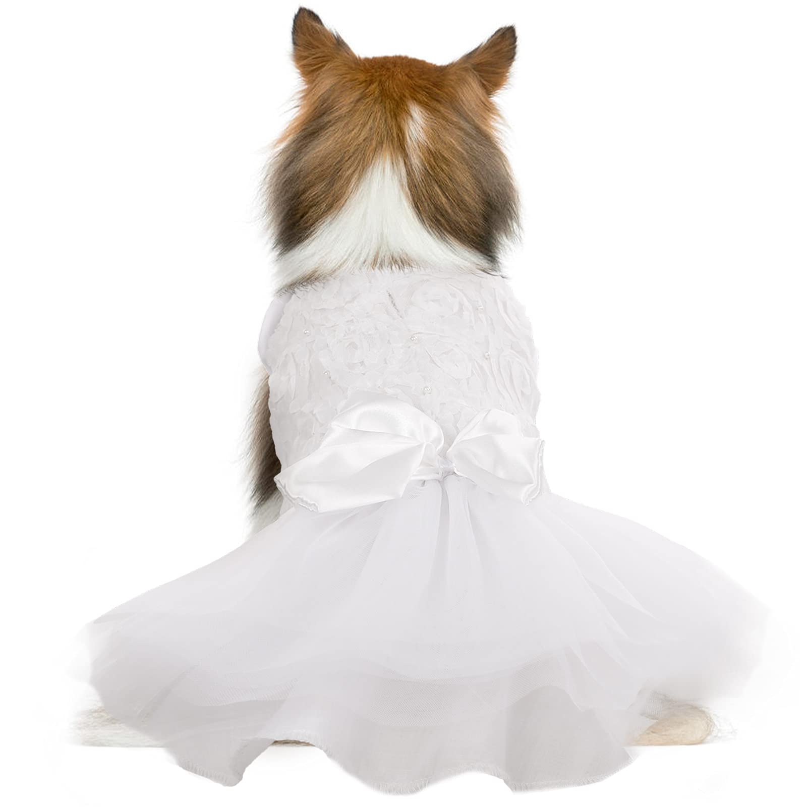 QBLEEV White Lace Dog Wedding Dress with Bowknot - Medium Size XXL Flower Girl Tutu Skirt for Puppy Bride Costume & Birthday Princess Attire | Perfect for Pet Weddings, Birthday Parties & Special Occasions