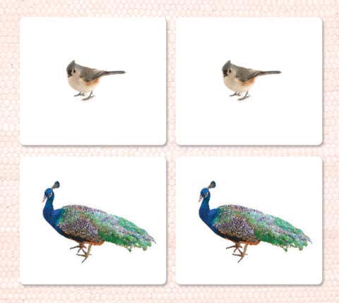 Montessori Birds Matching Cards - Educational Flash Cards for Kids by Maitri Learning (2008) - Perfect for Homeschooling, Classroom Activities & Early Childhood Learning