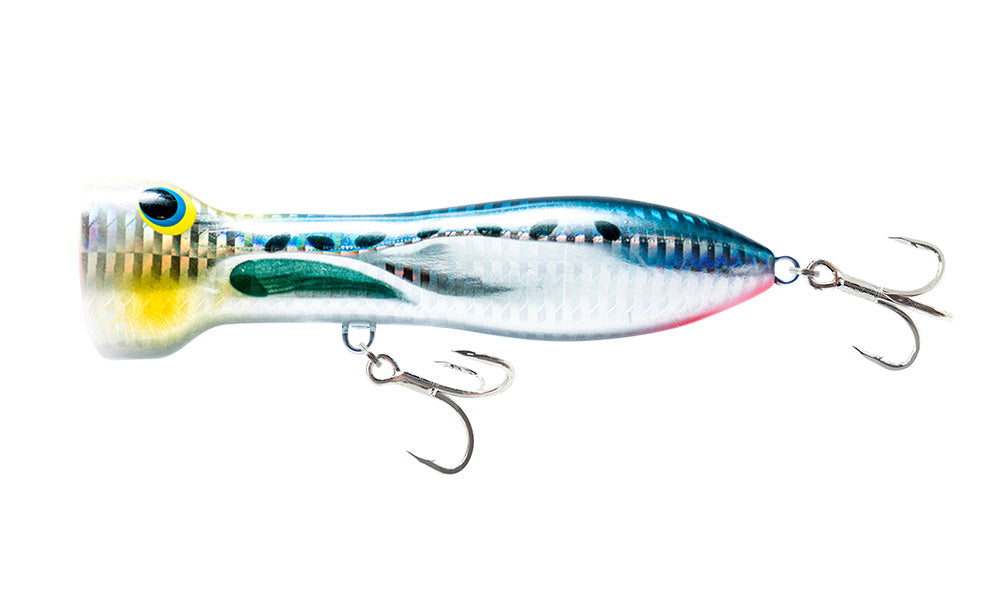 Sardine