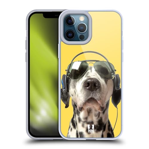 Grooving Dalmatian