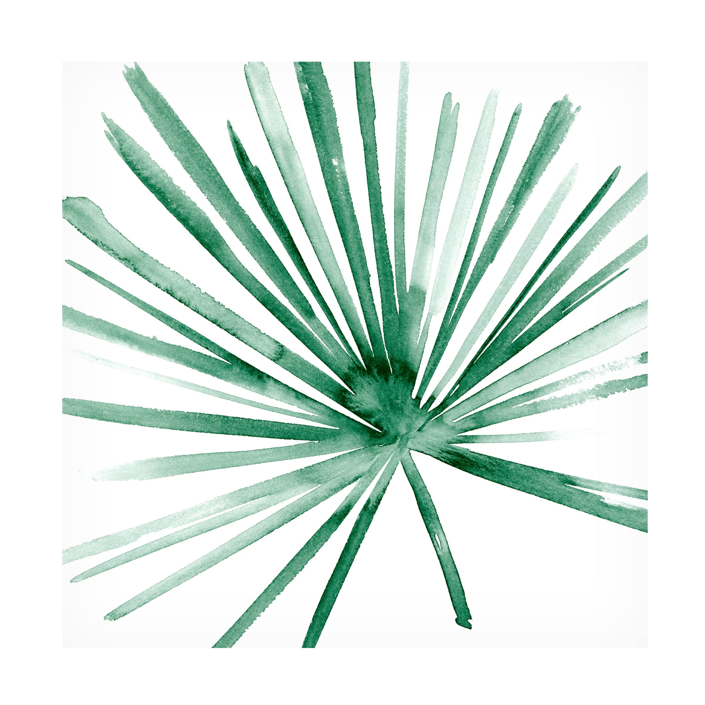 Trademark Fine Art 'Palm II' Canvas Wall Art by Melissa Wang - 35x35 Inches Tropical Beach Decor for Living Room, Bedroom & Office