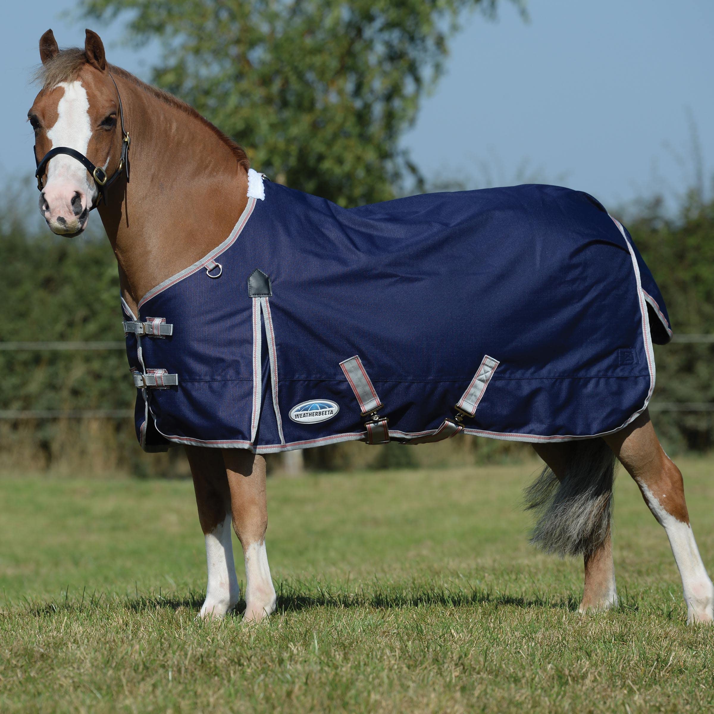 WeatherBeeta ComFiTec Essential Standard Neck Lite Horse Blanket - Navy/Silver/Red - 54 Inch - Waterproof & Breathable - Ideal for Turnout & Stable Use