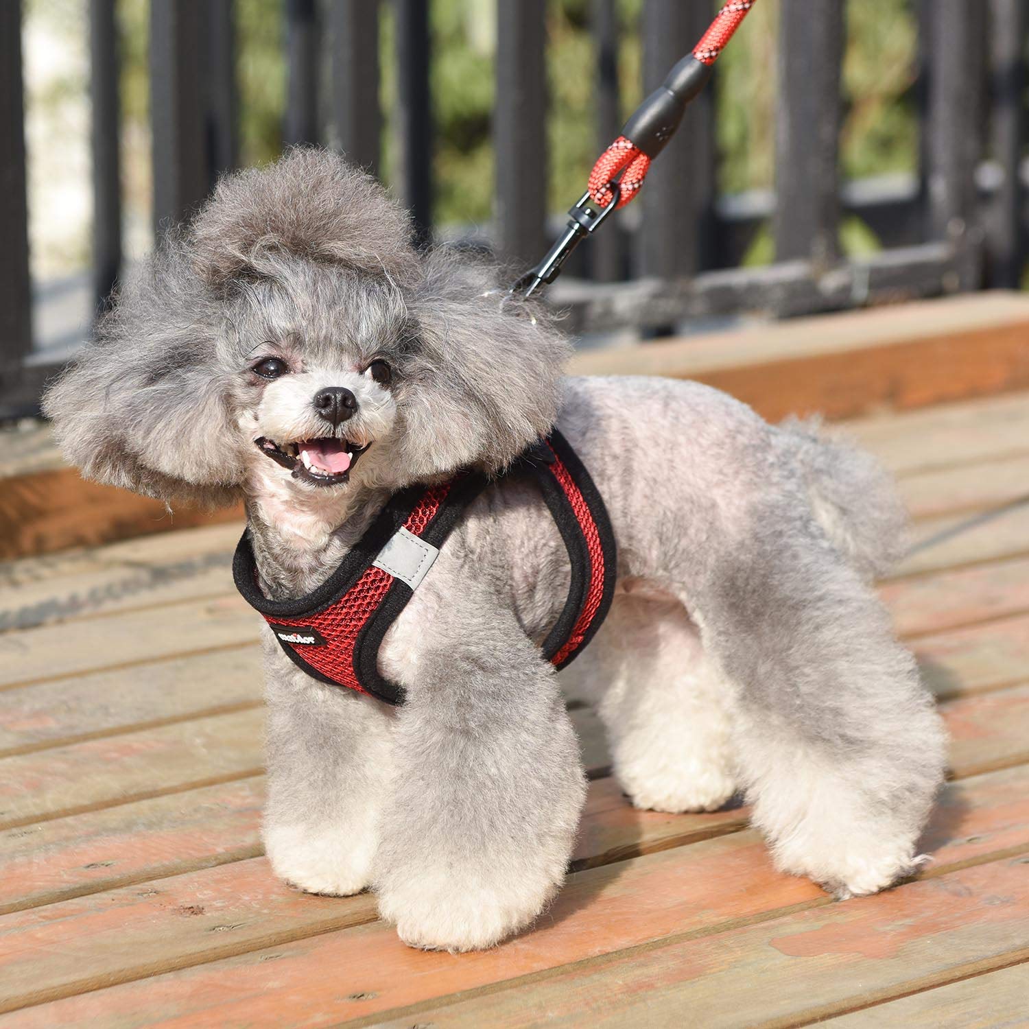 Breathable Step-in Dog Harness for Small & Medium Dogs - Comfortable Puppy & Cat Vest in Red | Perfect for Walking, Training & Outdoor Adventures