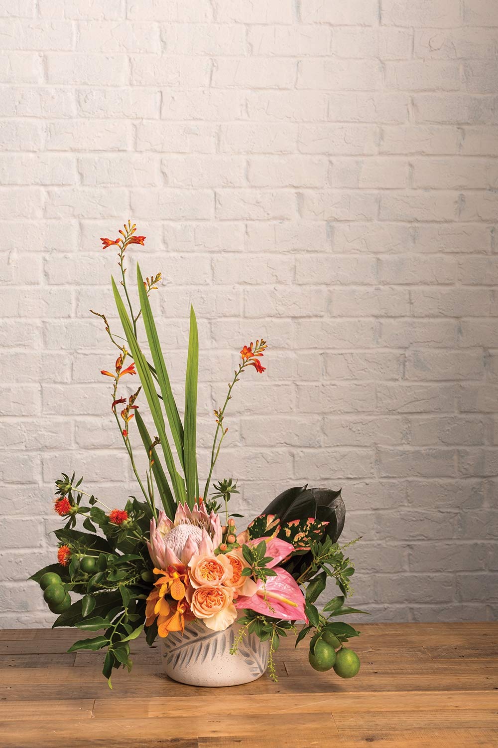Modern White Ceramic Plant Pot - 7