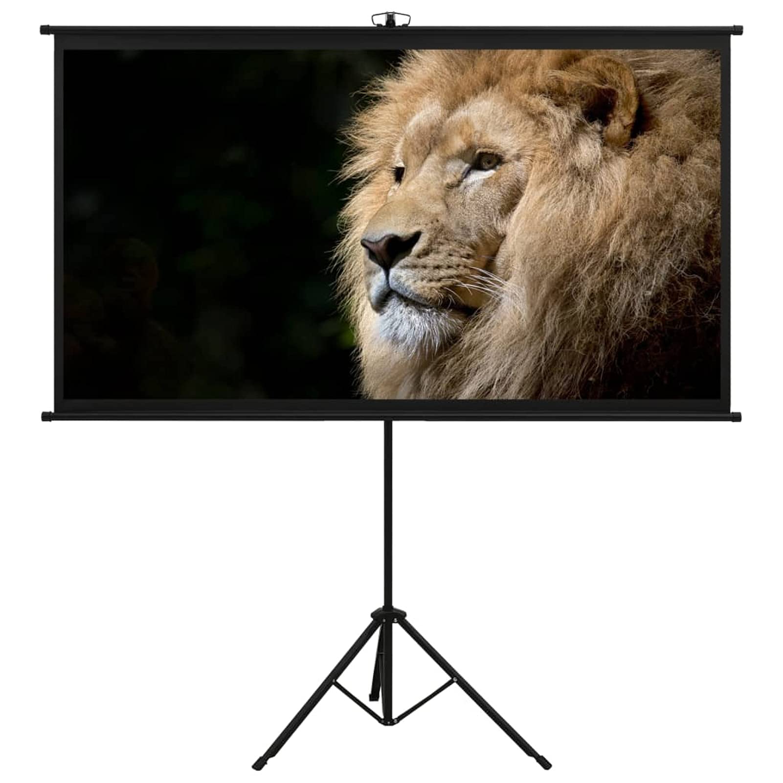 Tidyard 100 Inch Portable Projection Screen with Tripod Stand - HD 4:3 Format Indoor/Outdoor Projector Screen for Movies, Home Theater, Gaming, Office Meetings & School Presentations | Perfect for Backyard Movie Nights, Business Presentations & Classroom Learning