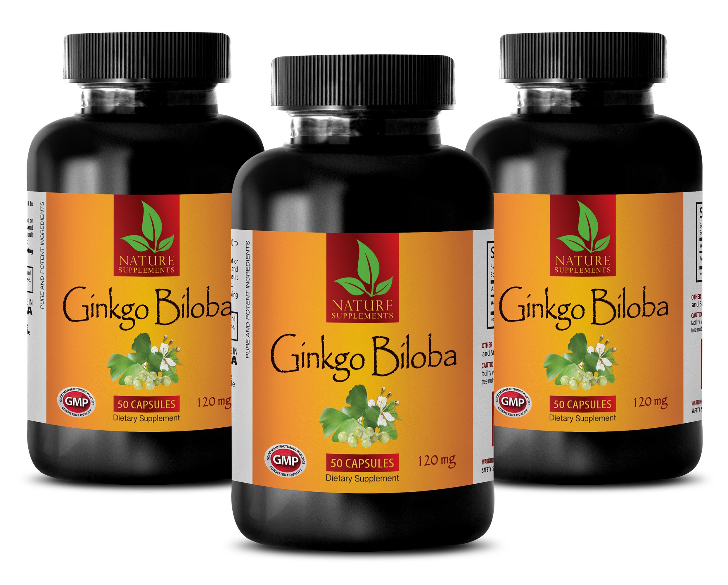 Premium Ginkgo Biloba 120mg Brain Memory Supplement - Natural Herbal Extract for Cognitive Support & Mental Clarity - 3 Bottles (150 Capsules) - Ideal for Students, Professionals & Seniors