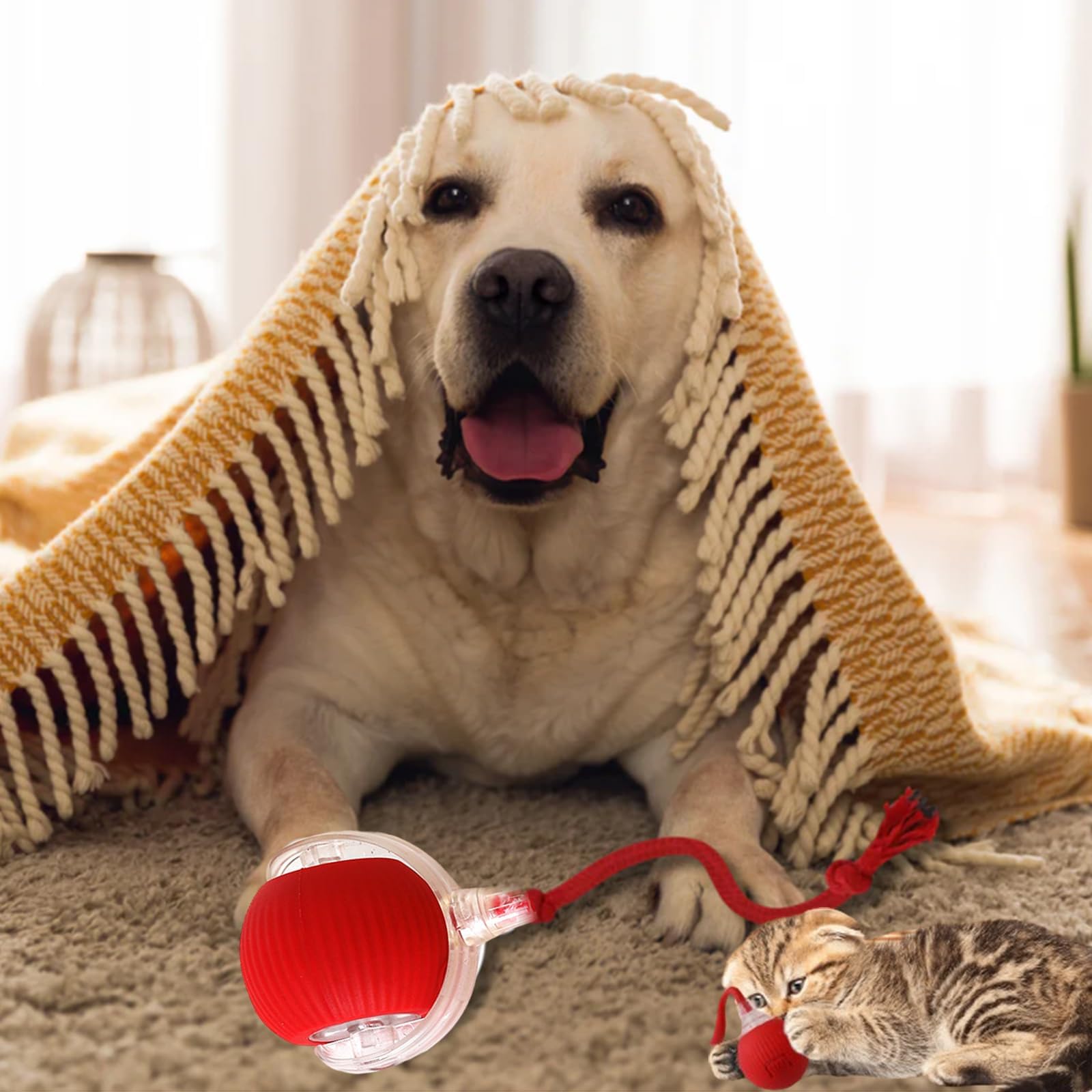 Chewie Viral Interactive Rolling Dog Ball - Motion Activated 360° Self-Moving Pet Toy for Dogs & Cats - Perfect for Indoor Play, Exercise, and Mental Stimulation