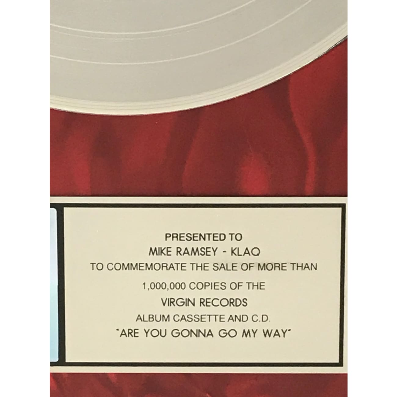 Lenny Kravitz 'Are You Gonna Go My Way' RIAA Certified Platinum Album Award - Perfect for Music Collectors & Rock Memorabilia Displays