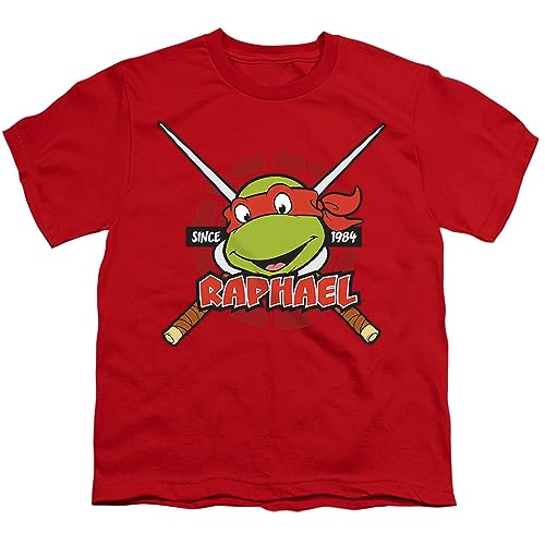 Raphael Since 1984