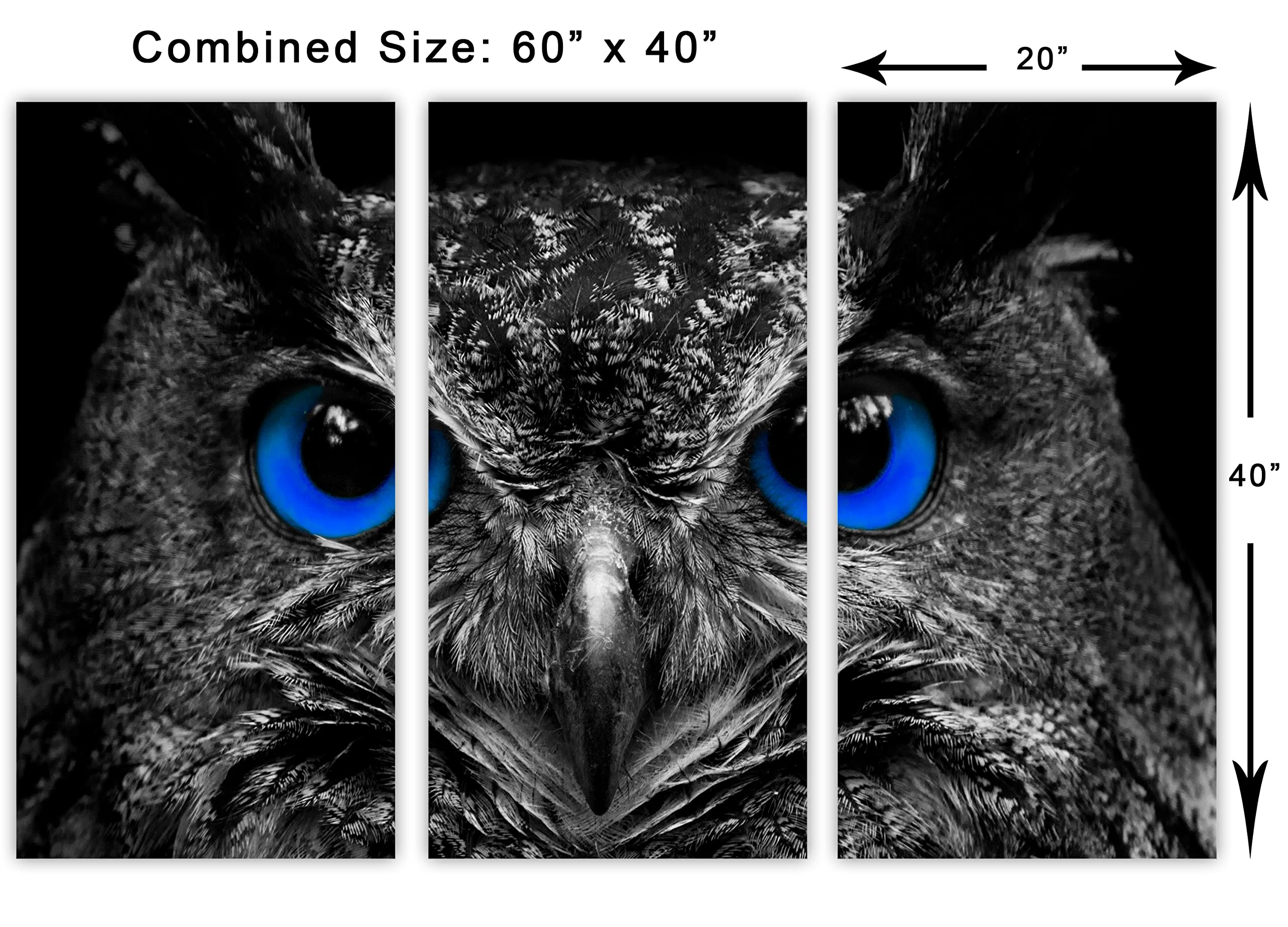 60 x 40 TOTAL - Dark Blue Eyed Owl Canvas Print Wall Art | 3 Panel Split Triptych | Bird Art Decor for Living Room, Bedroom & Office