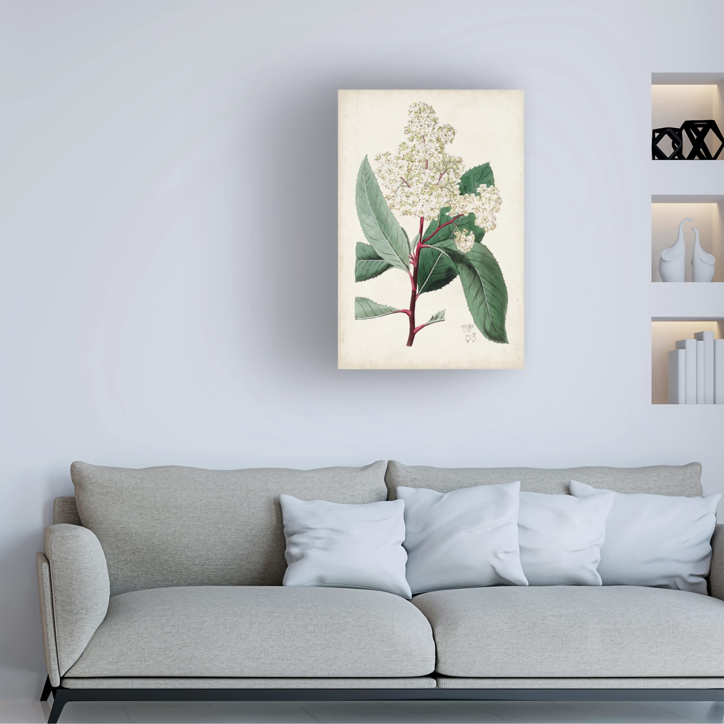 Trademark Fine Art 'Garden Gems X' by Curtis - Premium Canvas Wall Art for Home & Office Decor | Perfect for Living Room, Bedroom & Office Spaces
