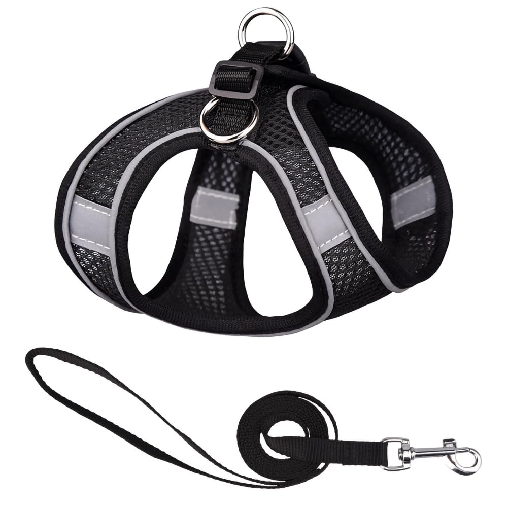 No-Pull Adjustable Mesh Cat & Small-Medium Dog Harness with Leash - Step-in Vest for Puppies & Small Breeds - Comfortable Walking Pet Harness Set for Daily Walks, Hiking & Outdoor Adventures
