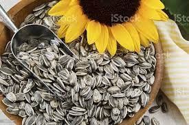 Organic Jumbo Raw Sunflower Seeds - High in Fiber & Protein | Healthy Snack for Weight Loss, Keto & Vegan Diets | Perfect for Salads, Baking & On-the-Go Nutrition