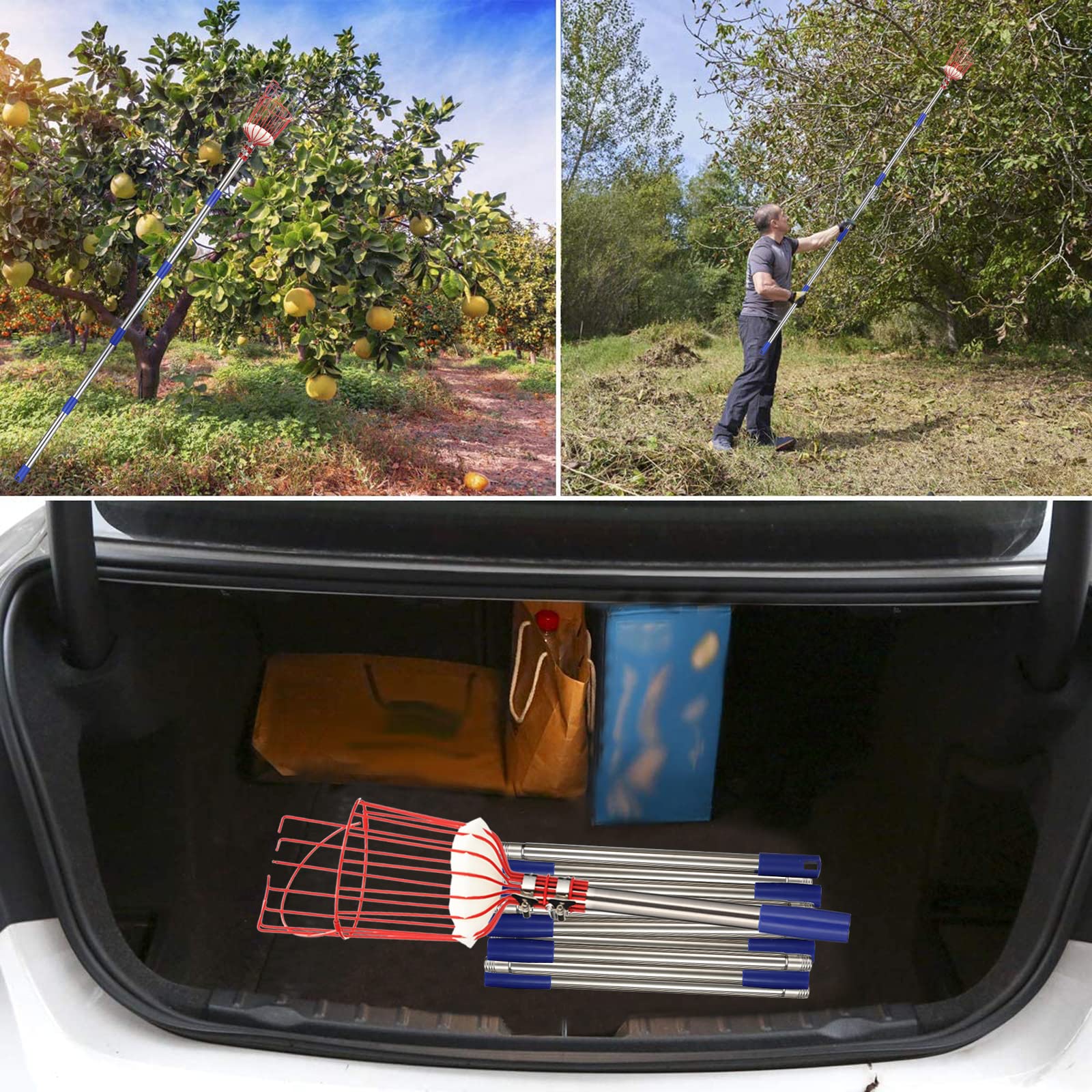 13FT Adjustable Fruit Picker Pole with Basket - Stainless Steel Harvesting Tool for Apples, Cherries, Berries, Oranges & More - Perfect for Home Orchards, Backyard Harvesting & Tall Tree Fruit Picking