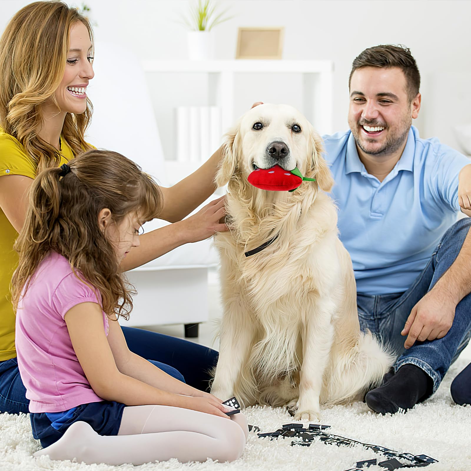 POPETPOP Squeaky Strawberry Dog Chew Toy - 2 Pack Interactive Plush Puppy Teething Toys for Small & Medium Dogs | Cute Squeak Toy for Playtime, Training & Anxiety Relief
