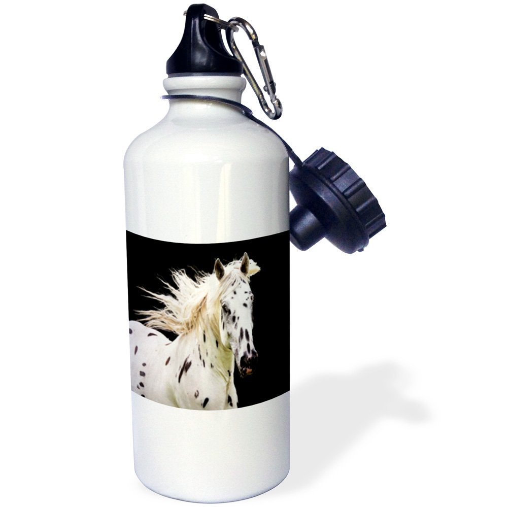 3D Rose Beautiful Appaloosa Horse Sports Water Bottle - 21 oz Insulated Stainless Steel White - Perfect for Gym, Hiking & Outdoor Activities
