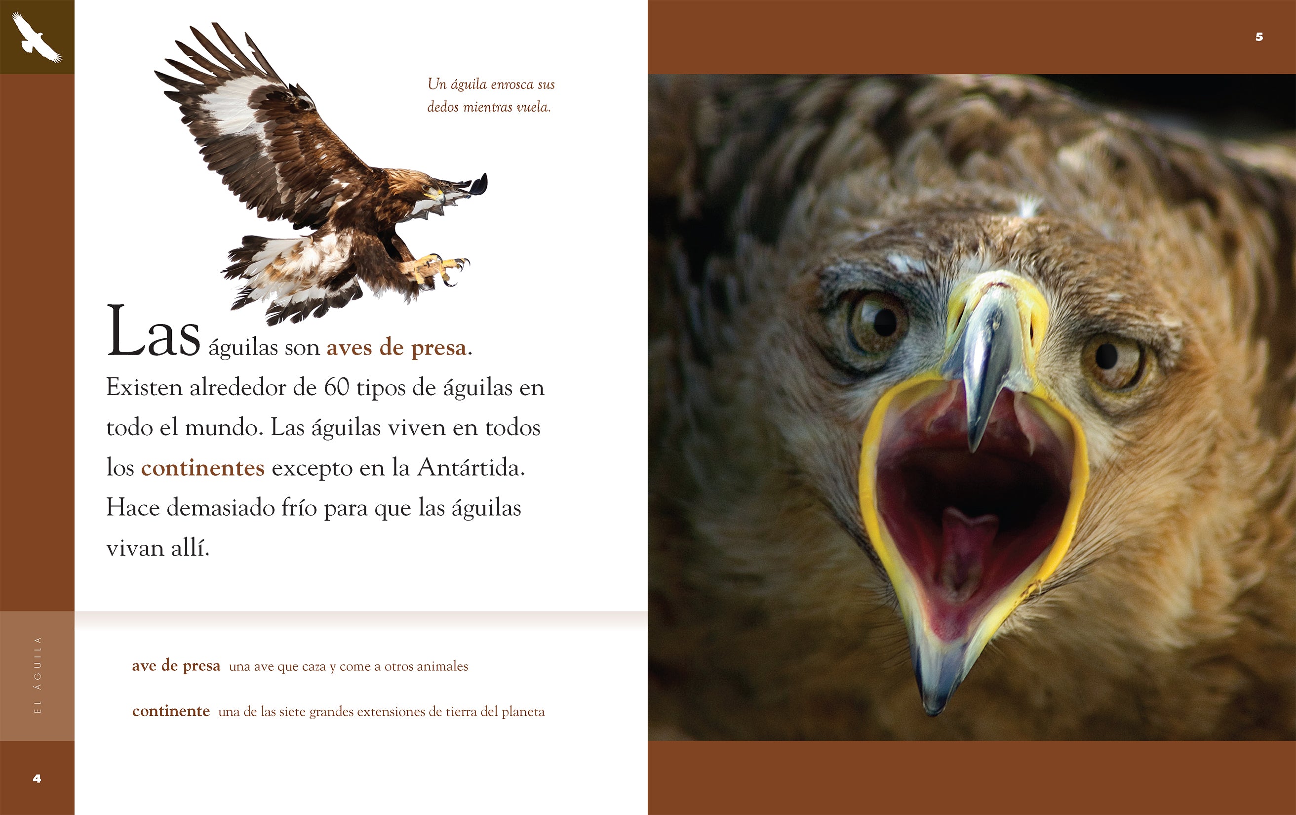 El Aguila 9781640264649 - Spanish Book for Kids & Adults - Perfect for Learning Spanish, Gifts, and Classroom Use