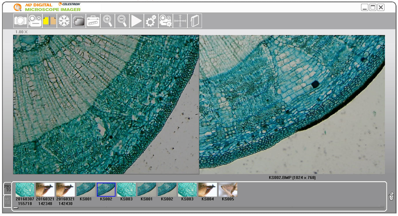 5MP Digital Microscope with USB Connection - 50X-1000X Magnification for Coin Stamp PCB Inspection, Kids Science Exploration & Hobbyists (Windows/Mac Compatible) - Perfect for Home Lab, Classroom & DIY Projects