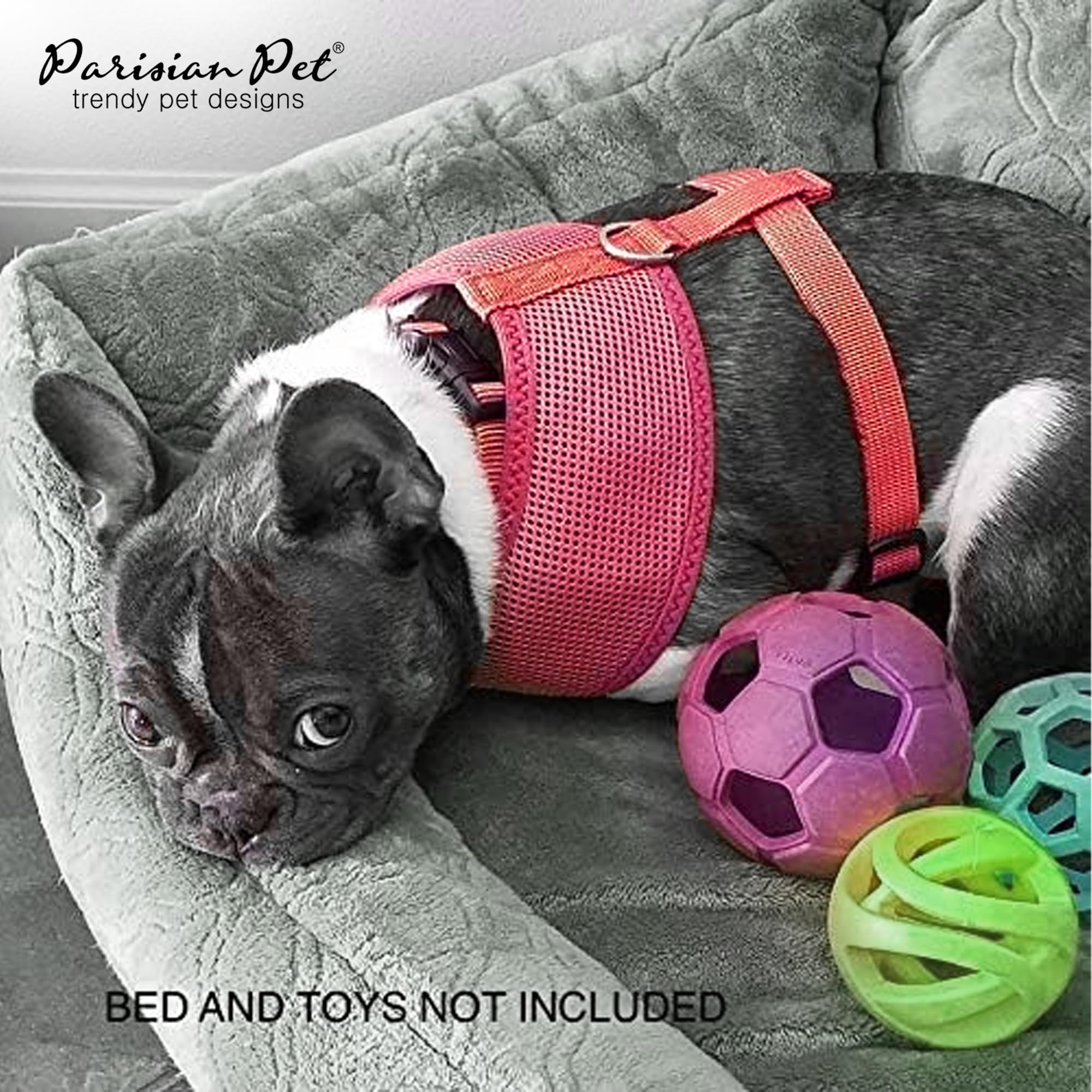 Parisian Pet Dog Harness - Adjustable Pink No-Pull Mesh Vest for Small Dogs | Breathable & Cooling Design for Walking, Running & Hiking | Puppy Harness Size S | Perfect for Outdoor Adventures & Daily Walks