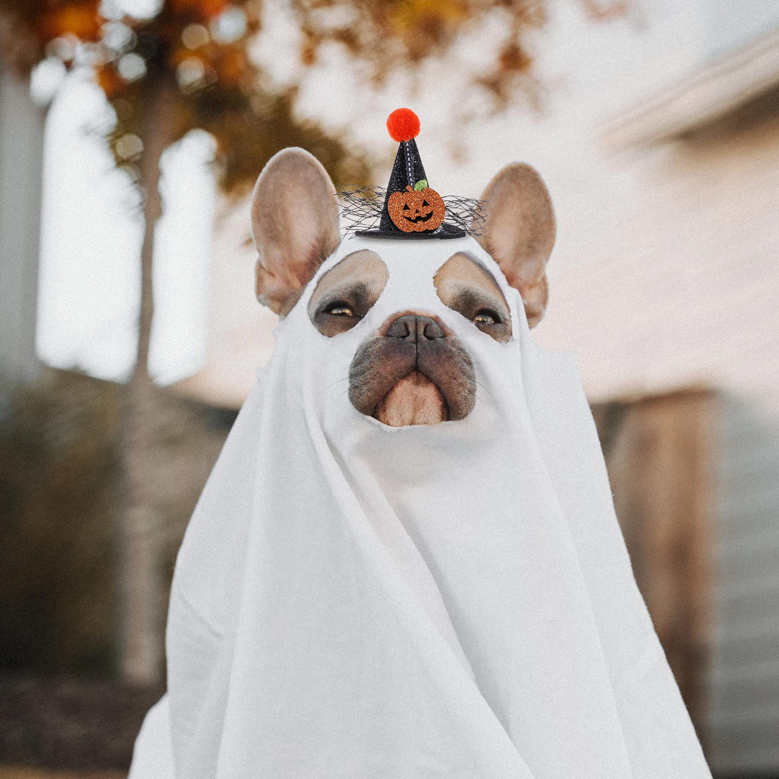 Balacoo Pet Skull Hat - Halloween Dog Costume for Cosplay & Parties