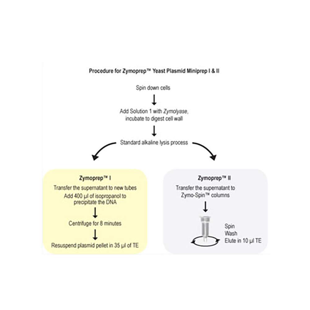 ZymoPrep Yeast Plasmid Miniprep Kit II - 50 Preps for Efficient DNA Extraction | Ideal for Molecular Biology Research & Yeast Plasmid Isolation
