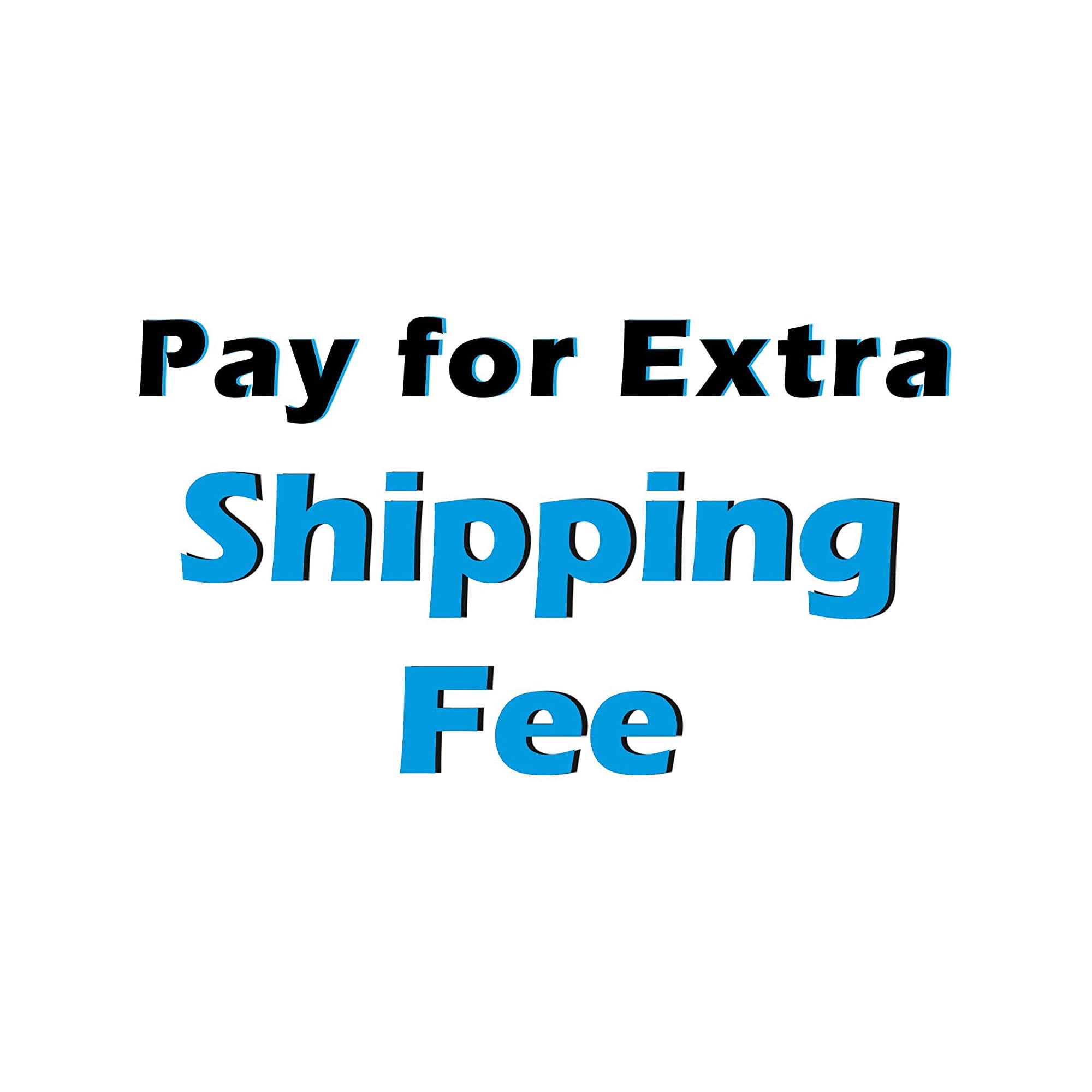 Pay for Extra Shipping Fee (Pay80) - Fast & Reliable International Shipping for US E-commerce | Convenient for Online Shopping & Cross-Border Deliveries