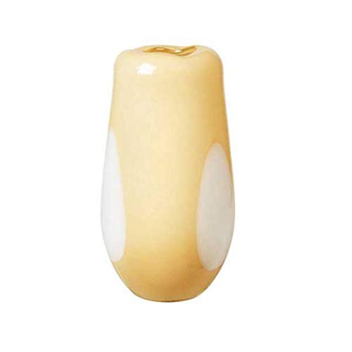 Elegant Glass Vase for Home Decor - 14.8