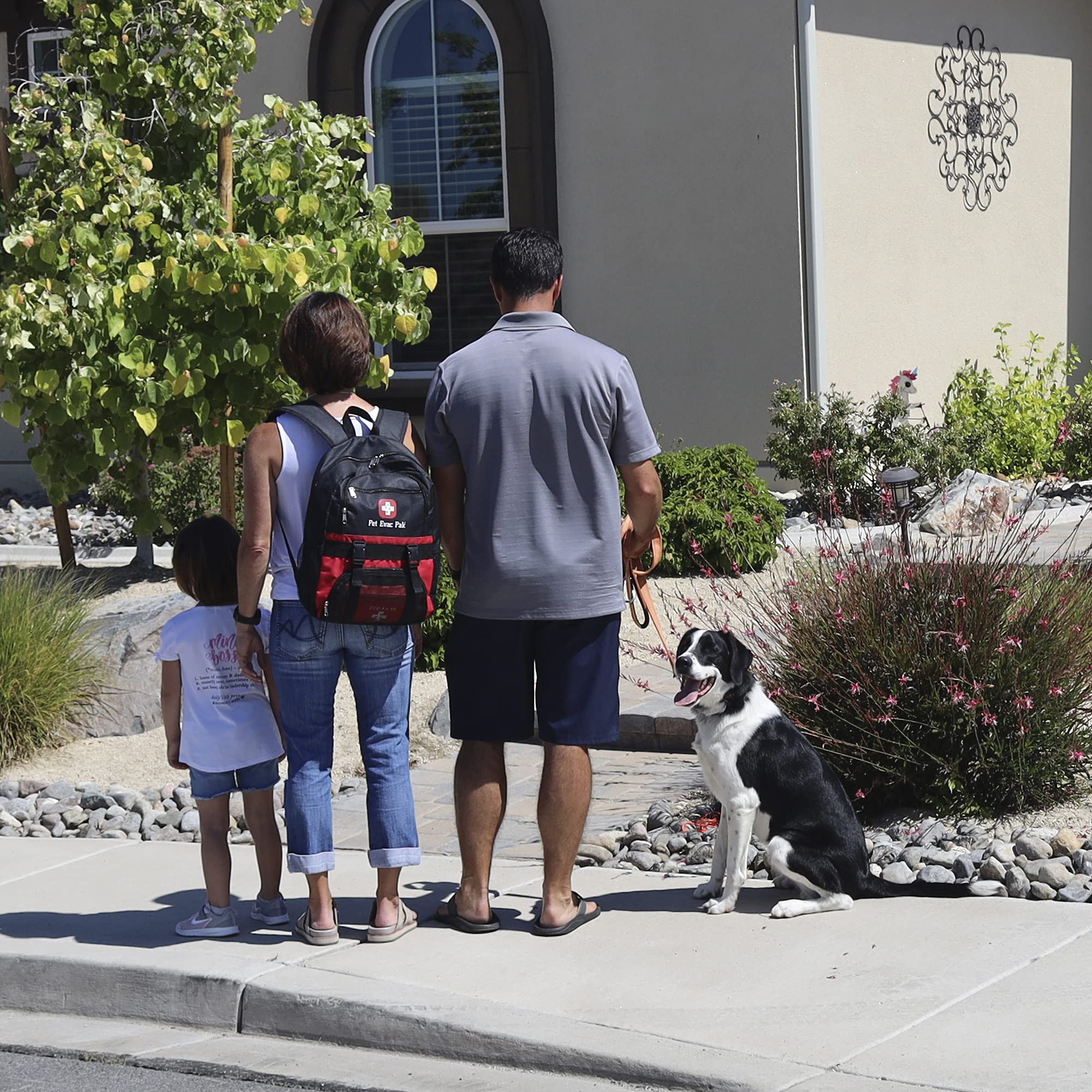 Best Pet Emergency Kit for Large Dogs - First Aid Supplies for Dog Safety & Outdoor Adventures