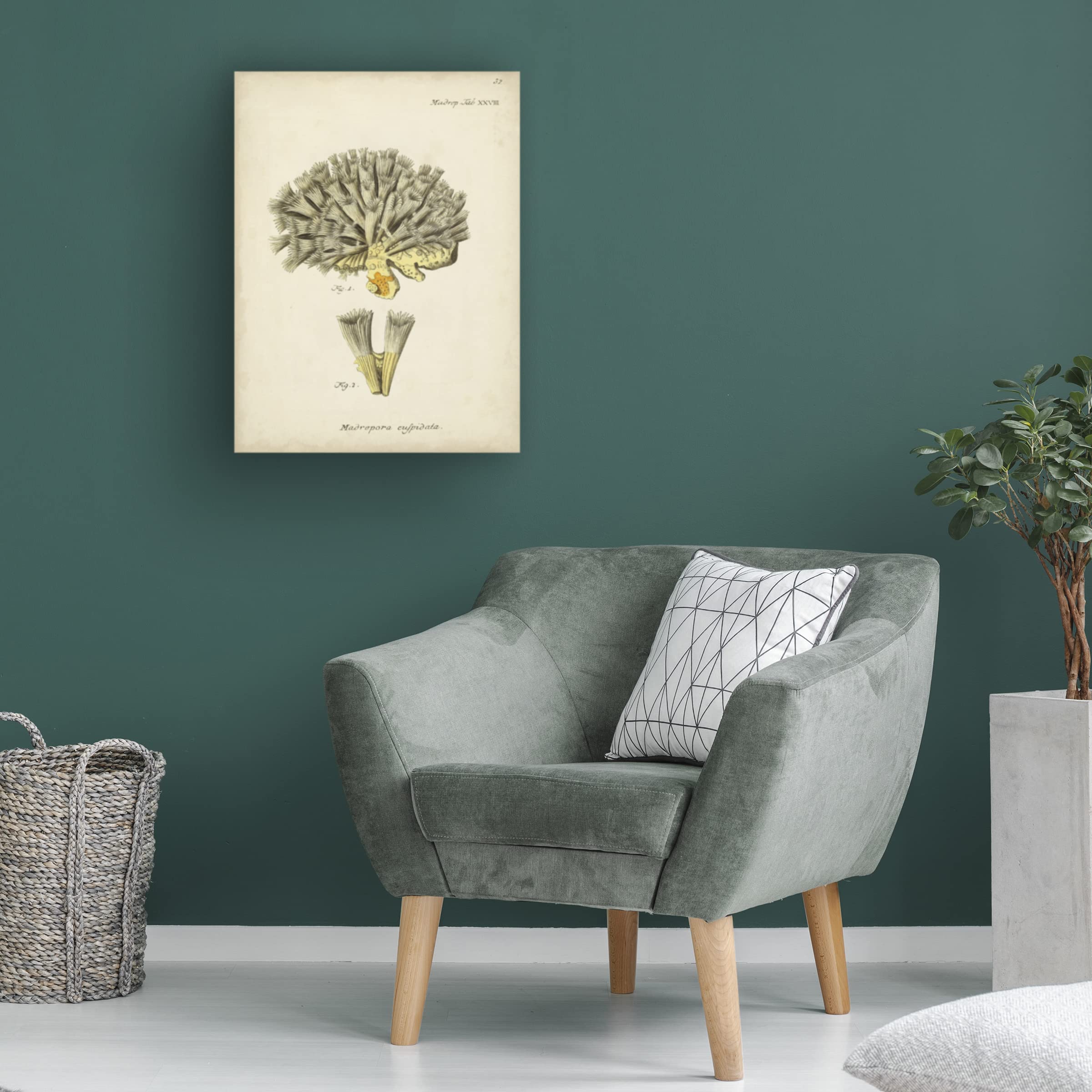 Johann Esper 'Ecru Coral XI' Canvas Wall Art Print - Modern Abstract Painting for Living Room, Bedroom & Office Decor | Trademark Fine Art Collection