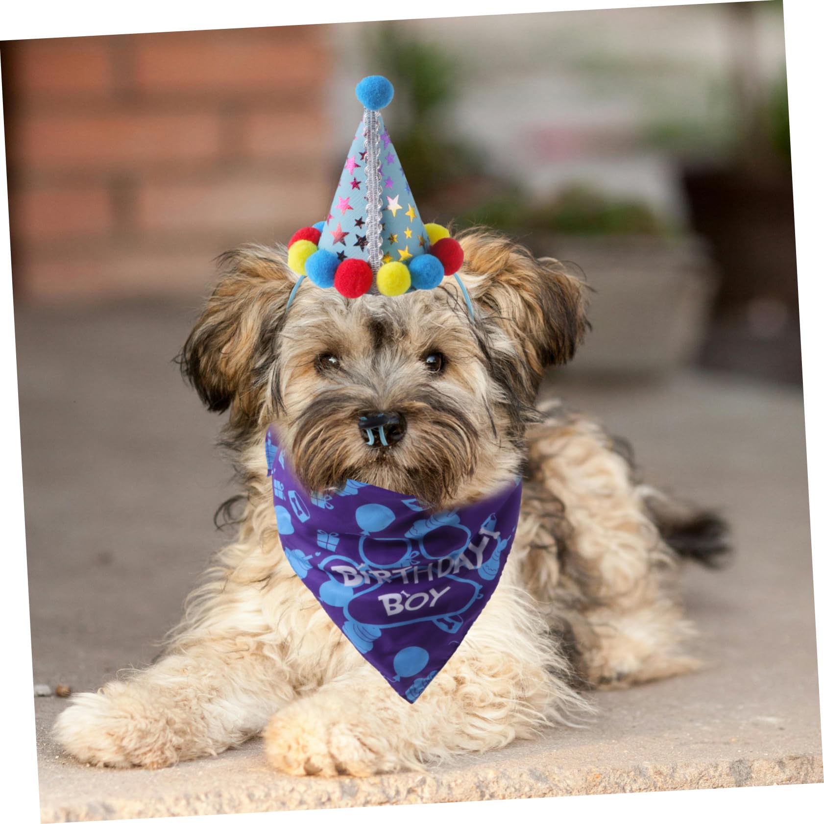 1 Set Pet Birthday Party Decorations - Dog Birthday Dress Up Kit with Bunting Banner, Bow Tie, Balloons & Cat Bib - Perfect for Dog & Cat Birthday Celebrations, Paw-Themed Parties & Pet Costume Events