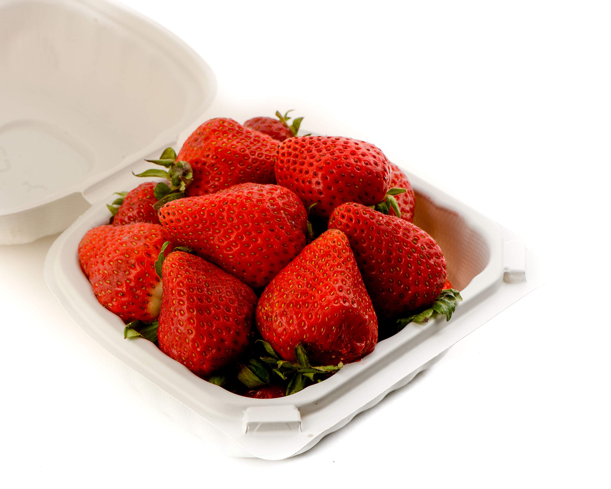 [800 Pack] 6x6 Inch Eco-Friendly Clamshell Takeout Containers - Mineral Filled Polypropylene, Microwave Safe, Biodegradable & Recyclable - Heavy Duty Restaurant Supplies for Food Delivery, Catering & Meal Prep