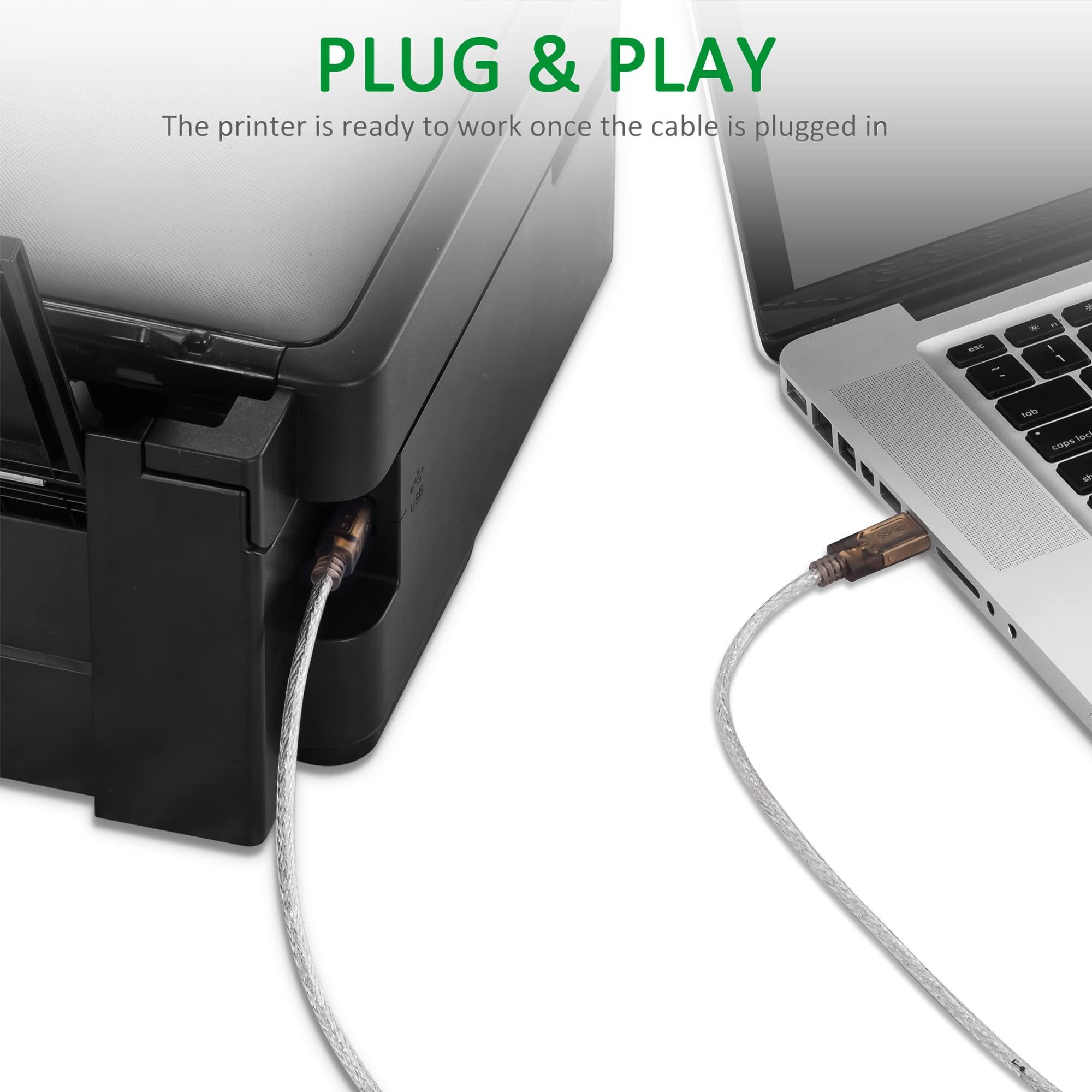 20ft USB 2.0 Printer Cable - High Speed A Male to B Male Scanner Cord for HP, Canon, Lexmark, Dell, Xerox, Samsung Printers - Perfect for Home Office & Commercial Printing (6M/20Ft)