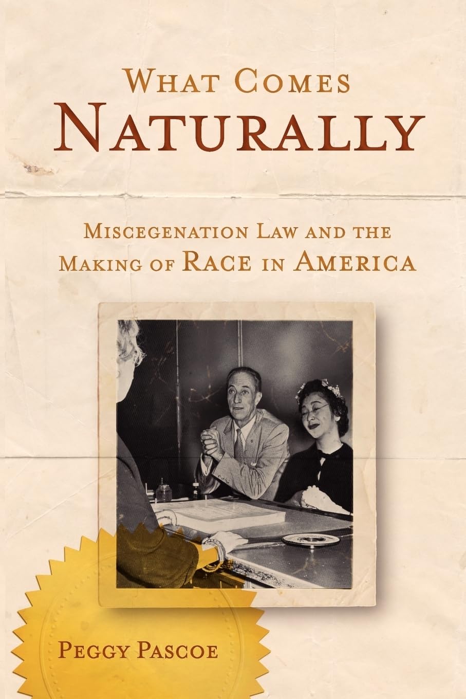 Interracial Marriage Laws & Racial Identity in America - History of Miscegenation & Civil Rights | Legal Studies & Social Justice Books